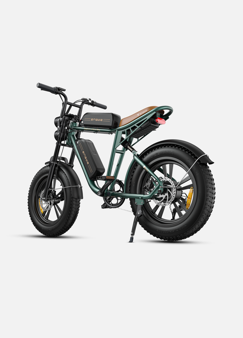 M20 Motorcycle-styled Electric Bike