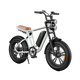 ENGWE M20 E-Bike im Motorrad-Stil